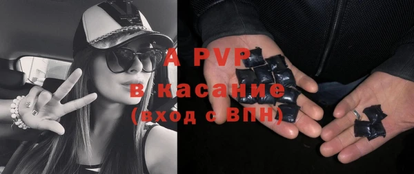 индика Красноперекопск