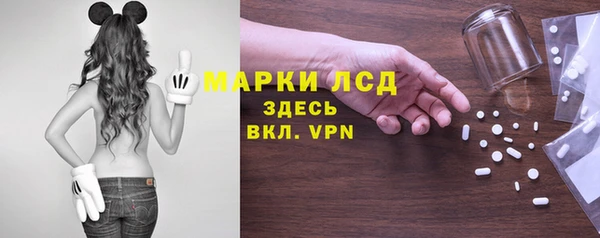 индика Красноперекопск