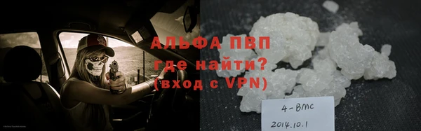 PSILOCYBIN Кодинск