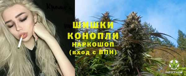 амф Козловка