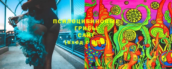индика Красноперекопск